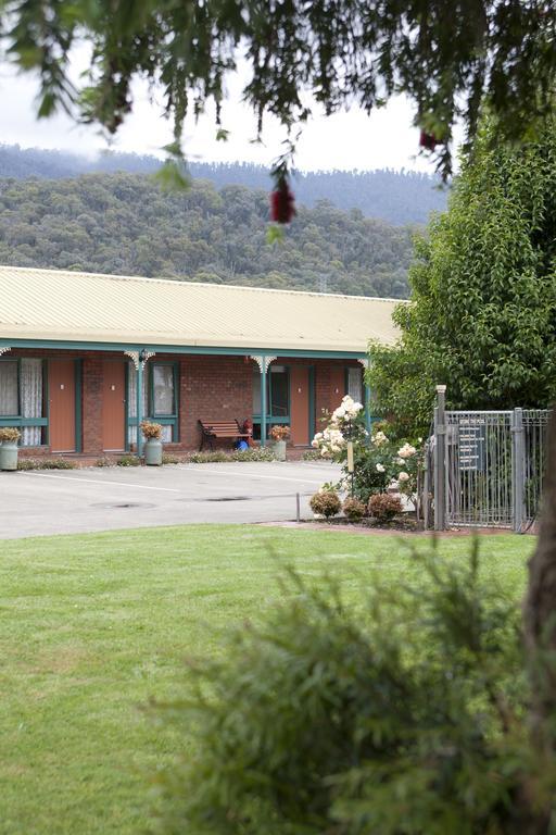 Snowgum Motel Mount Beauty Exterior foto