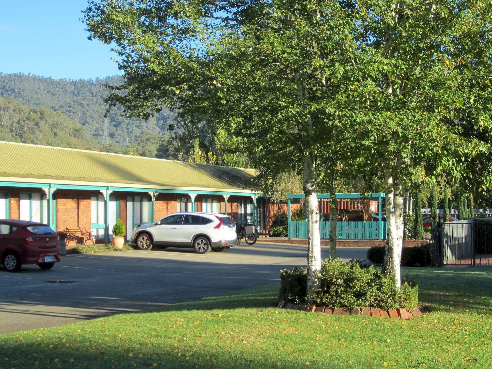 Snowgum Motel Mount Beauty Exterior foto